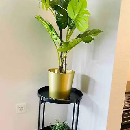 Luxury New Flat With Terrace & Parking-beg1 Apartment